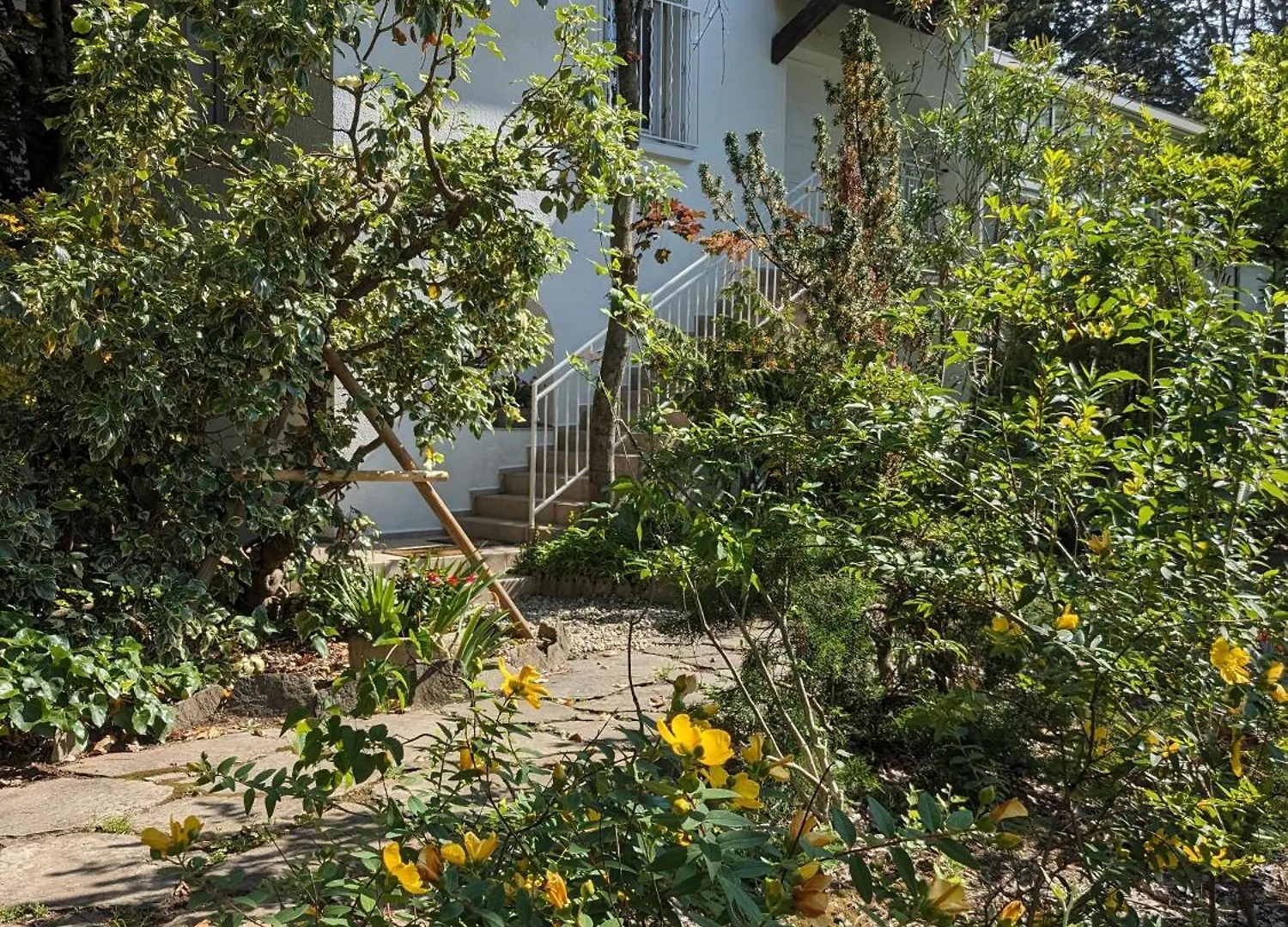 Maison Spacieuse Et Lumineuse 4 Personnes Lavilledieu